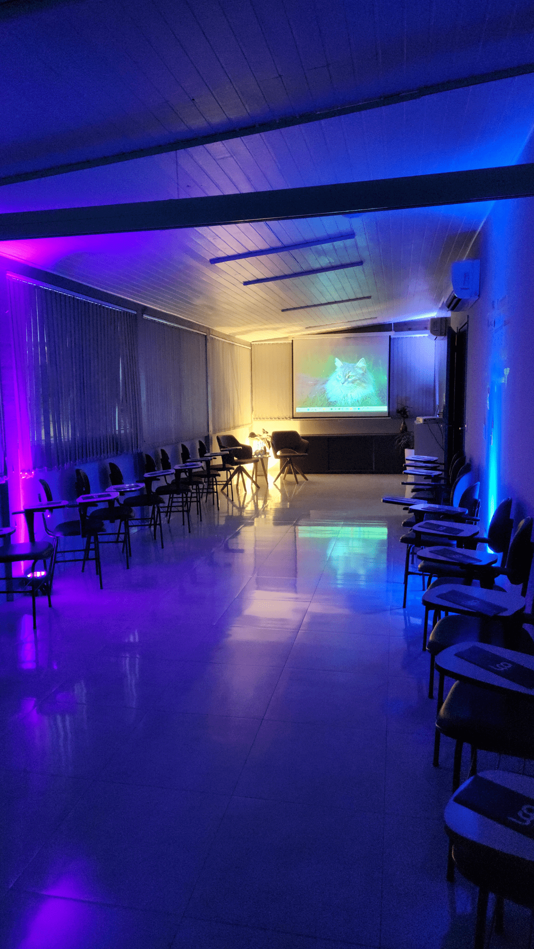 edição 5 (3)
