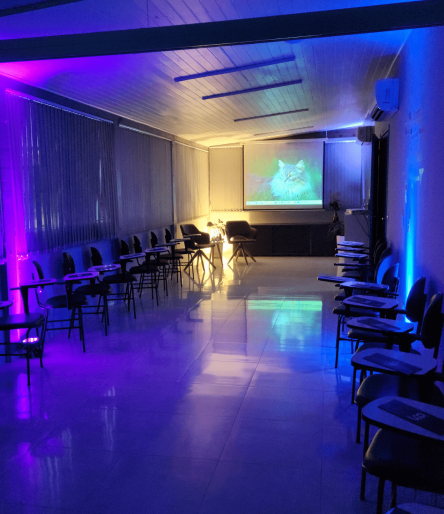 edição 5 (3)